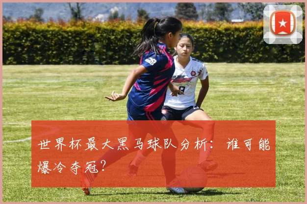 世界杯最大黑马球队分析：谁可能爆冷夺冠？